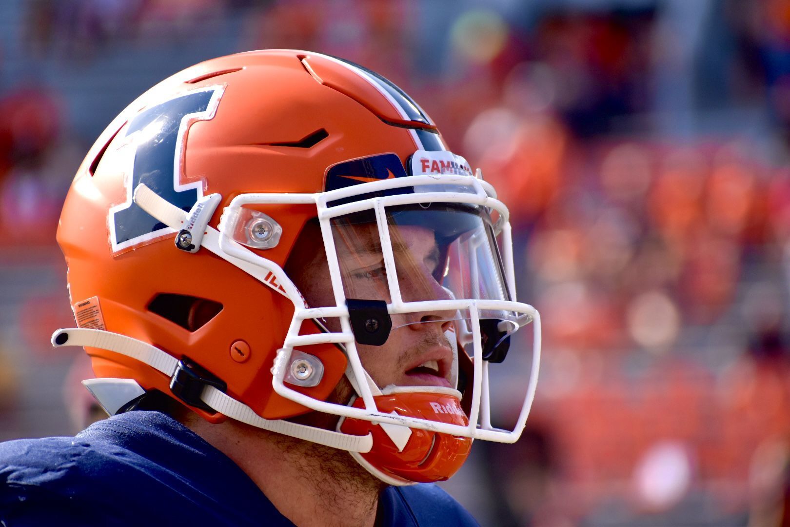 PHOTOS: Illinois hosts Wisconsin for homecoming